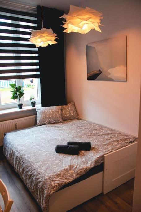 *Apartamenty Kattowitz 12 Eksteriør billede